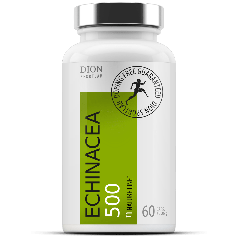 ECHINACEA 500 Echinacea extract